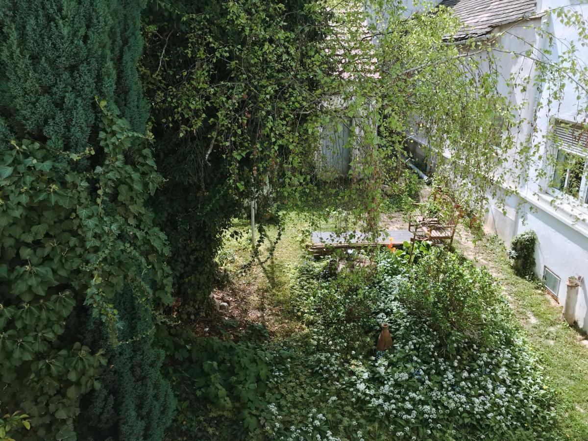 Ferienwohnung In Der Fussgaengerzone Gartenblick - Studio Apartment 아이젠슈타트 외부 사진